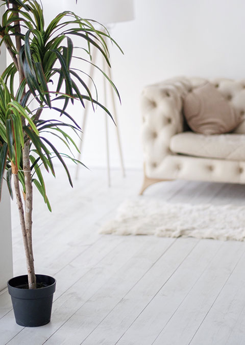 Pourquoi investir dans l’immobilier locatif ?